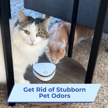 Ozzy | Eliminate Smoke, Pet & Kitchen Odors in 1-Click